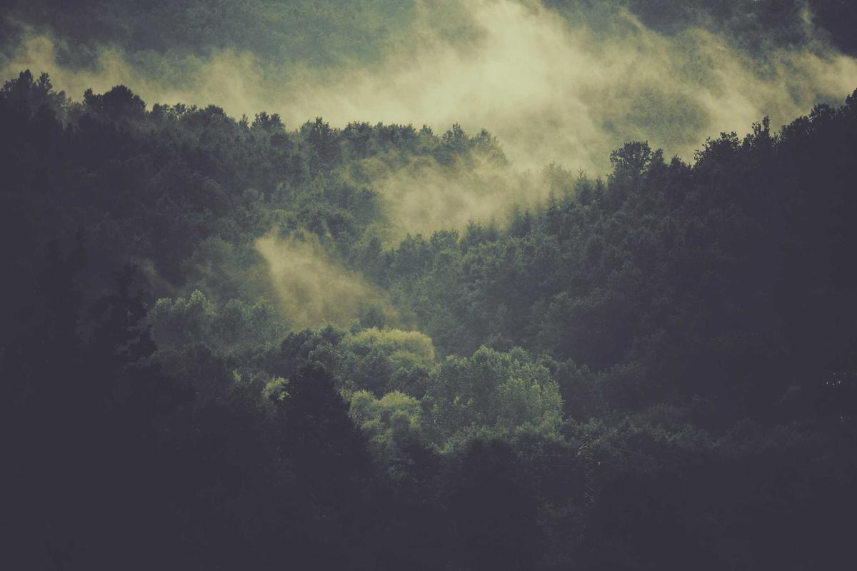 국제 친환경 어워드 수상작